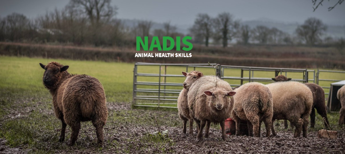 NADIS Animal Health Skills - Home