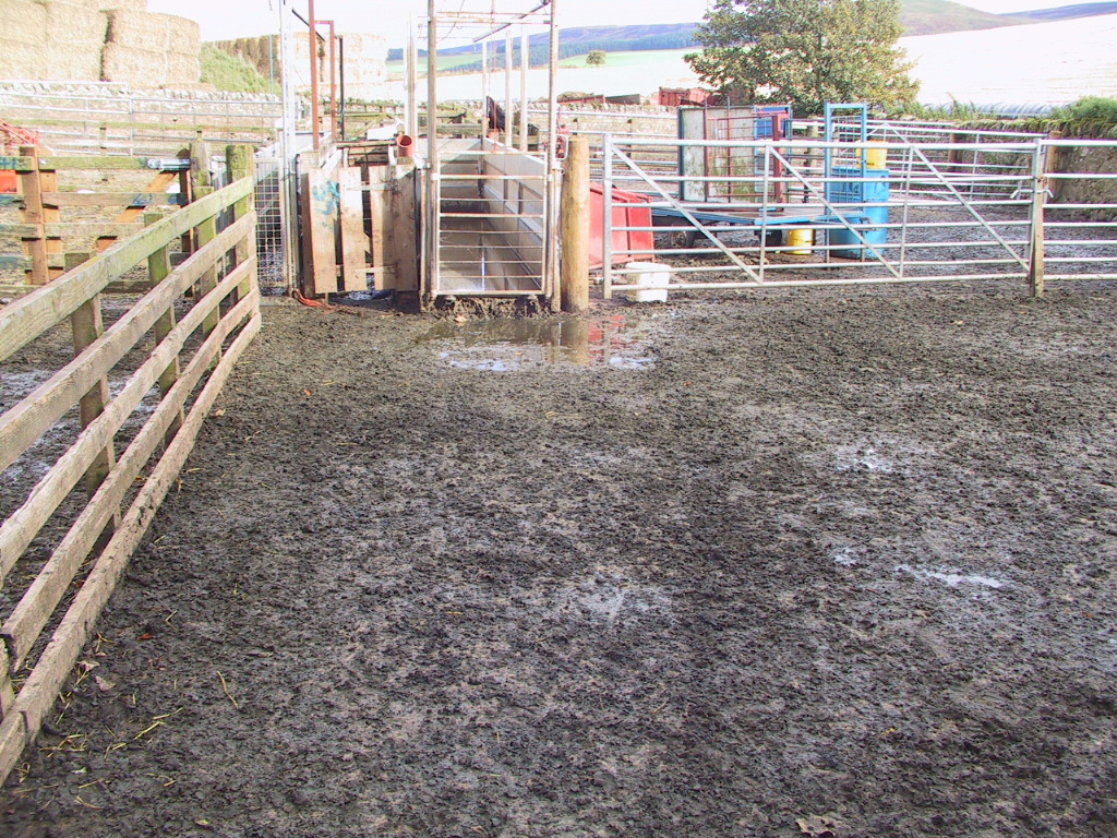 Fig 3 These handling pens and footbath must be cleaned before further use.