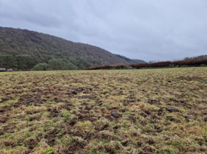 Straight after grazing the field Tom thought he had ruined.png