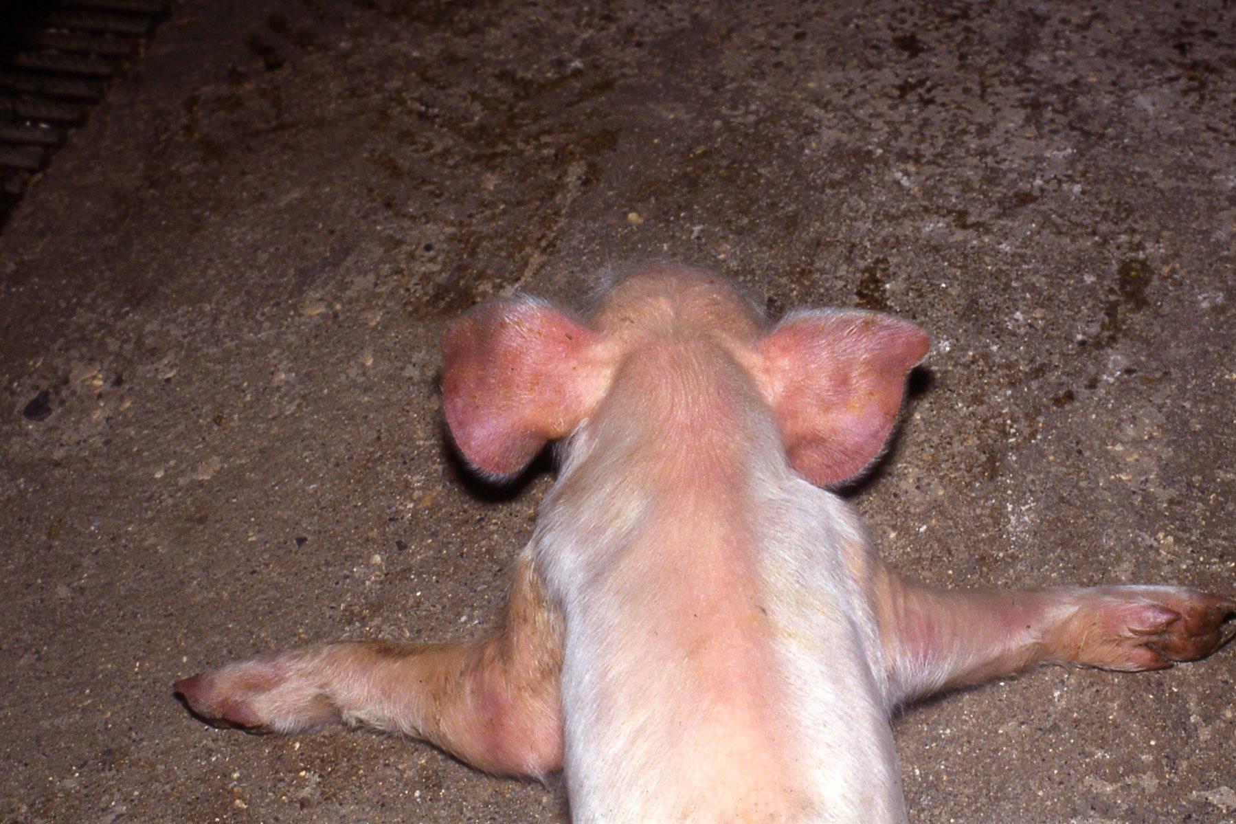 fig3