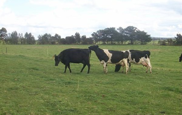 Benchmarking your farm