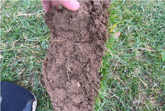 Soil does not function properly when pore space collapses and compacts the soil, which can be observed in this image from a perennial sheep pasture in Wales. Short grass grazing and long grazing periods reduce root mass, which is crucial for building organic matter in the soil and feeding the soil ecosystem. Most soil organic matter is built through root biomass and root exudates, so soil that does not get feed with living roots will deteriorate over time