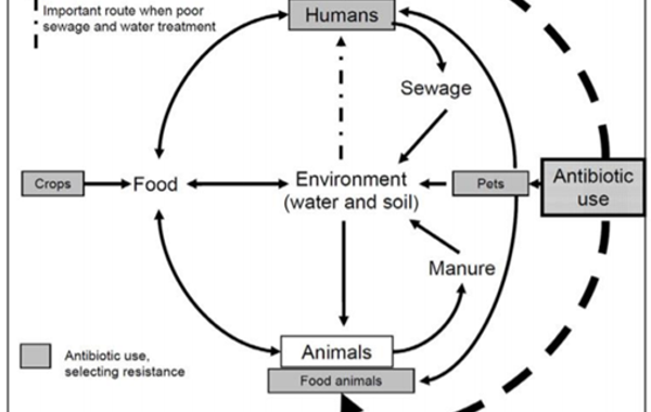 Antimicrobial resistance