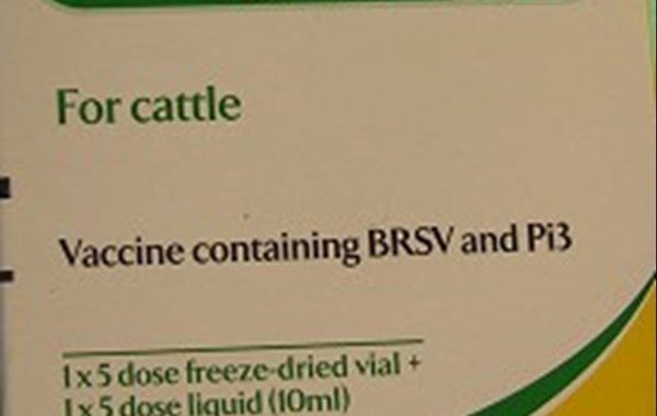 Medicine Usage