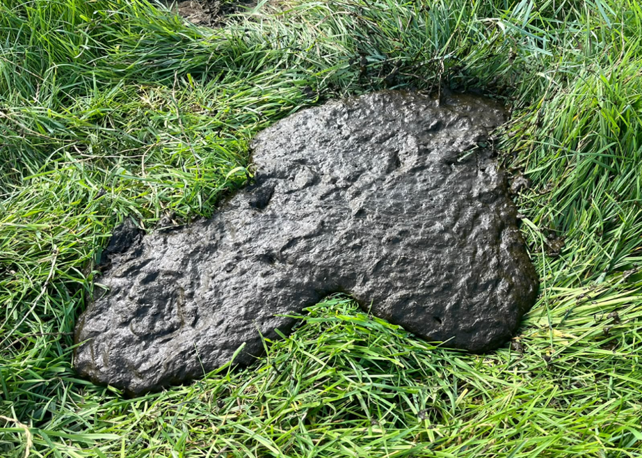 Picture4.png
