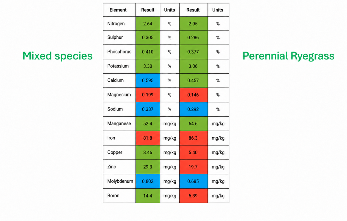 ChatGPT Image Sep 30, 2026, 10_47_26 AM.png