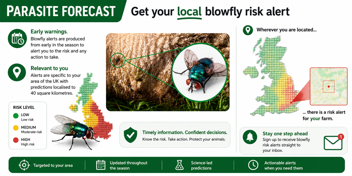 BlowflyRisk.png