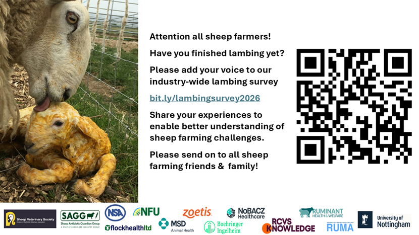lambing-survey-facebook-post.png