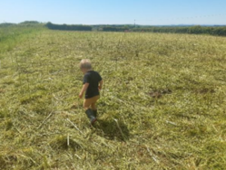 Figure 12 Post grazing residual.png